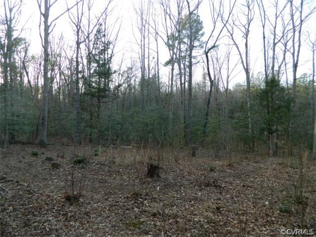 0 Verdon Road Beaverdam, VA 23015 - Photo 6 of 7 a view of a forest with trees in the background