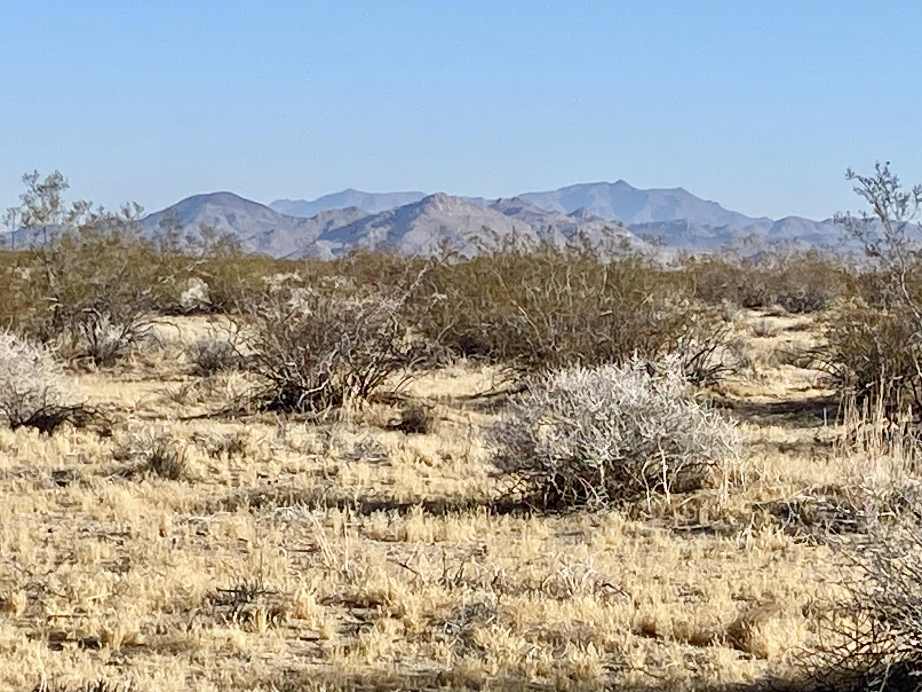 104 Joshua Tree Road Johnson Valley, CA 92285 - Photo 5 of 55 IMG_8410