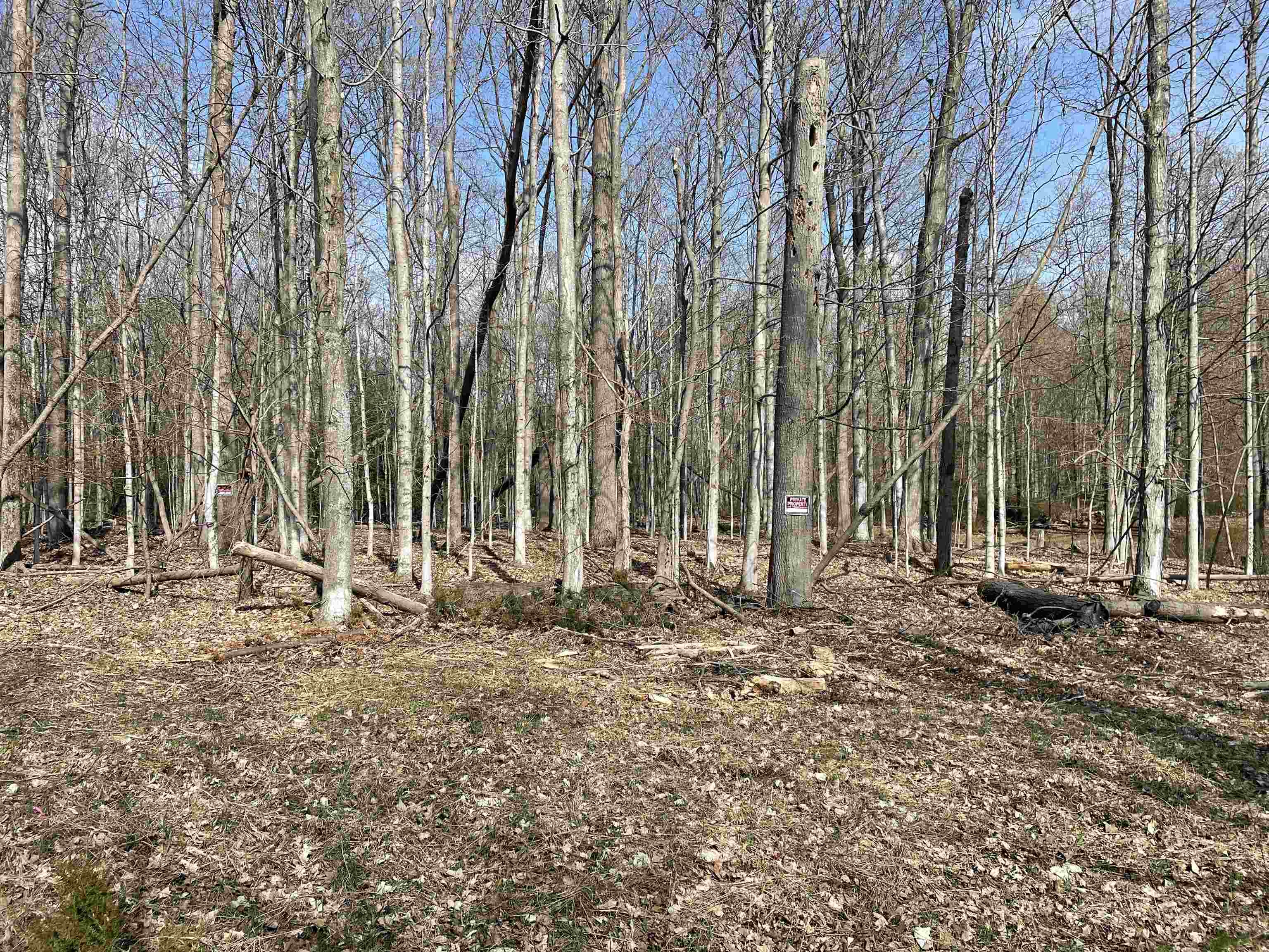 Tbd Tbd Lore Ellsworth, MI 49729 - Photo 2 of 12