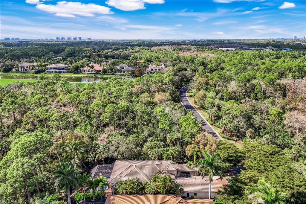 18051 Lagos Way Naples, FL 34110 - Photo 32 of 35 an aerial view of a houses with city view