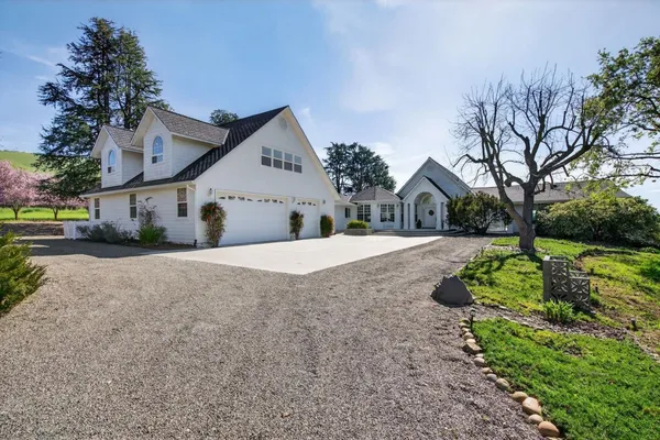 a view of a house with a small yard plants and large tree