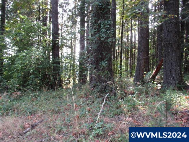 0 Northwest Crane (3) Road Yamhill, OR 97148 - Photo 5 of 14