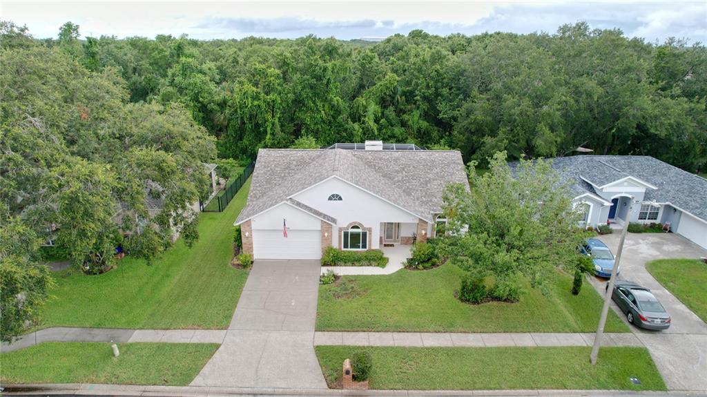 7406 Mint Julep Drive Riverview, FL 33578 - Photo 4 of 24