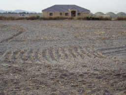 321 West Dobbins Road, Unit 2 Phoenix, AZ 85041 - Photo 2 of 6 Additional Photo