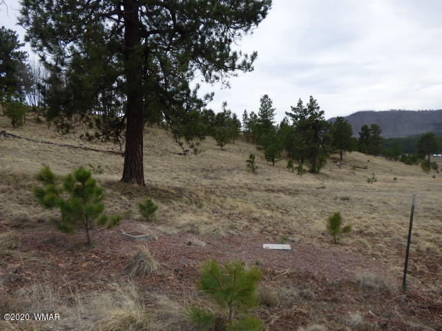 Lot 15 The Ranch Alpine, AZ 85920 - Photo 1 of 25 Gallery Image 1