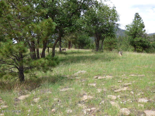 Lot 15 The Ranch Alpine, AZ 85920 - Photo 13 of 25 Gallery Image 13