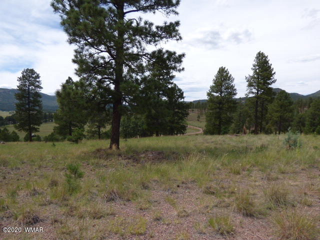 Lot 15 The Ranch Alpine, AZ 85920 - Photo 20 of 25 Gallery Image 20