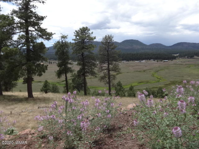 Lot 15 The Ranch Alpine, AZ 85920 - Photo 21 of 25 Gallery Image 21