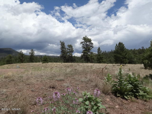 Lot 15 The Ranch Alpine, AZ 85920 - Photo 22 of 25 Gallery Image 22