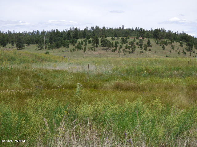 Lot 15 The Ranch Alpine, AZ 85920 - Photo 24 of 25 Gallery Image 24