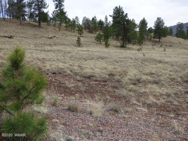 Lot 15 The Ranch Alpine, AZ 85920 - Photo 3 of 25 Gallery Image 3