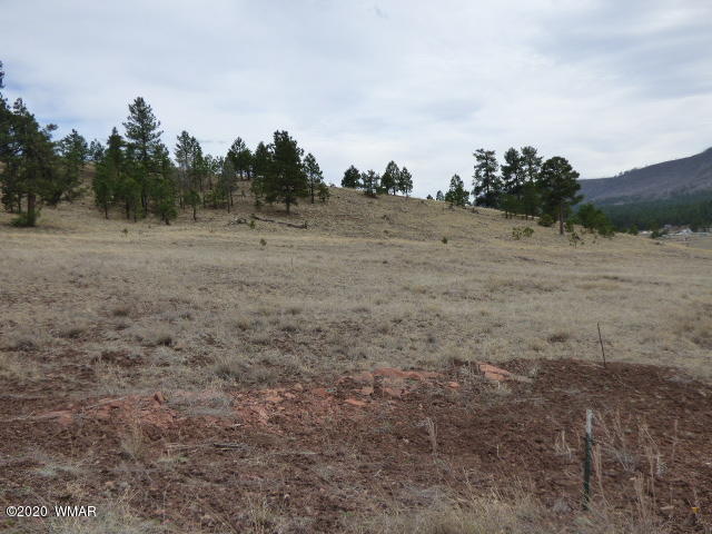 Lot 15 The Ranch Alpine, AZ 85920 - Photo 4 of 25 Gallery Image 4