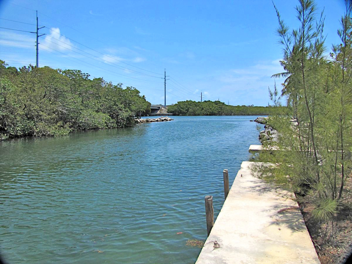 0 Elva Road Tavernier, FL 33070 - Photo 1 of 15 View from Lot to Tavernier Creek