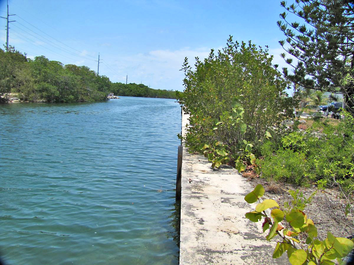 0 Elva Road Tavernier, FL 33070 - Photo 12 of 15 View Toward Tavernier Creek