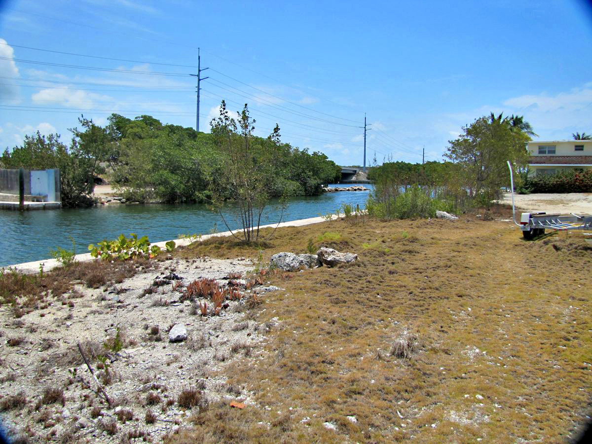 0 Elva Road Tavernier, FL 33070 - Photo 13 of 15 Lot View Looking Toward Tavernier Creek