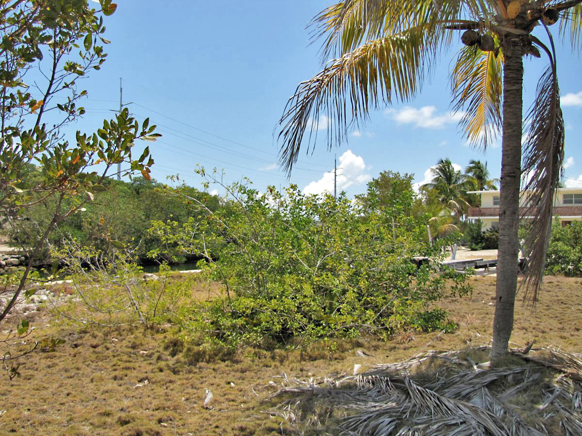 0 Elva Road Tavernier, FL 33070 - Photo 14 of 15 End View of Lot