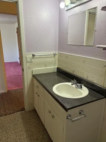a bathroom with a sink and a mirror