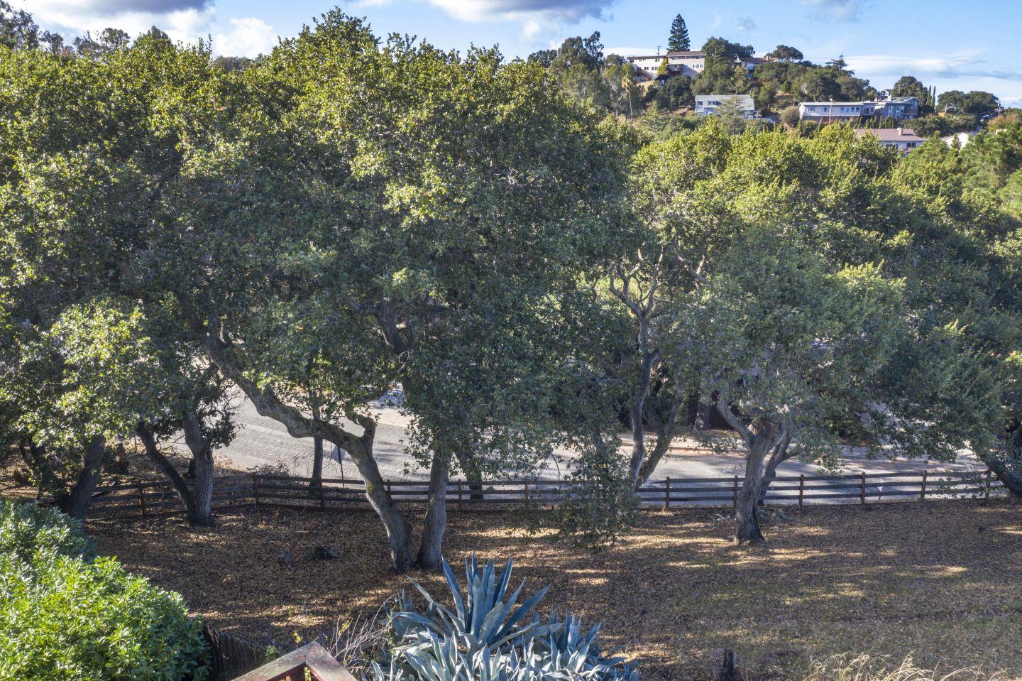 0 Middle Road Belmont, CA 94002 - Photo 3 of 4 Gallery Image 3