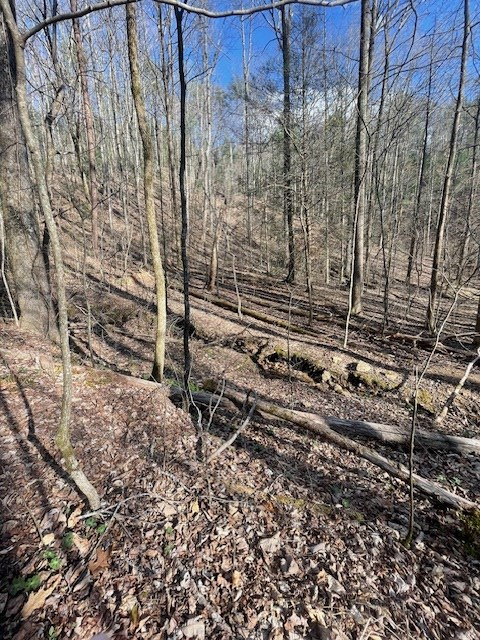 0 Lost Silver Mine Road Cisco, GA 30708 - Photo 2 of 5 Gallery Image 2