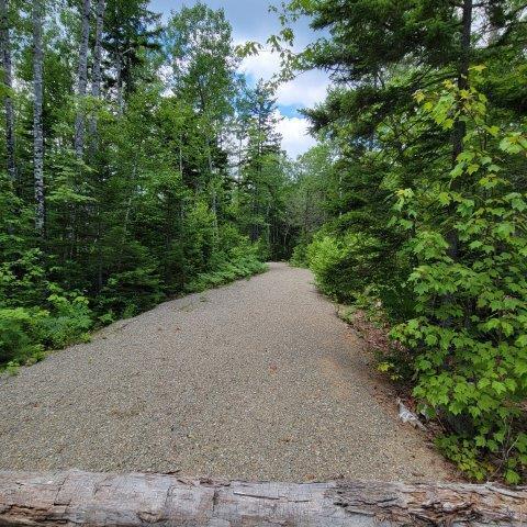 T4 Wadleigh Pond Road Millinocket, ME 04462 - Photo 16 of 38 Driveway