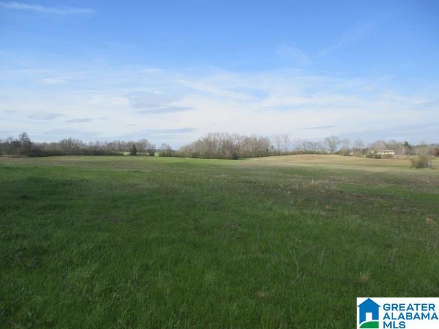 160 Highway Parcel Al, Unit 1 Cleveland, AL 35049 - Photo 2 of 10