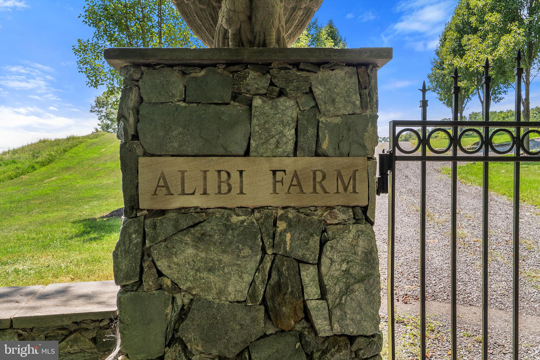 6389 Coon Tree Road The Plains, VA 20198 - Photo 4 of 65