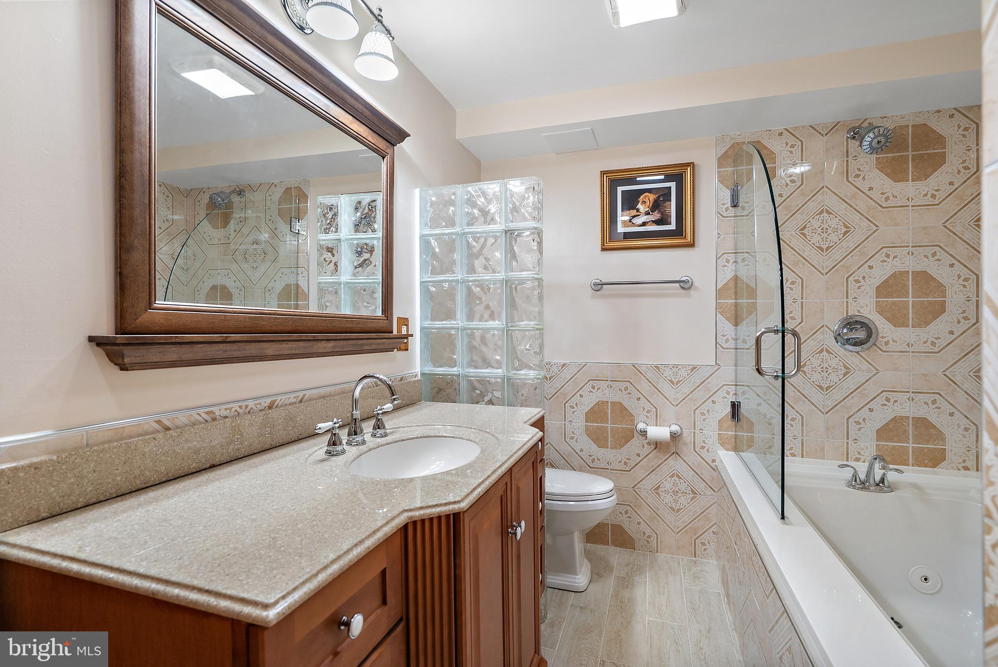 6389 Coon Tree Road The Plains, VA 20198 - Photo 42 of 65 Basement Full Bath