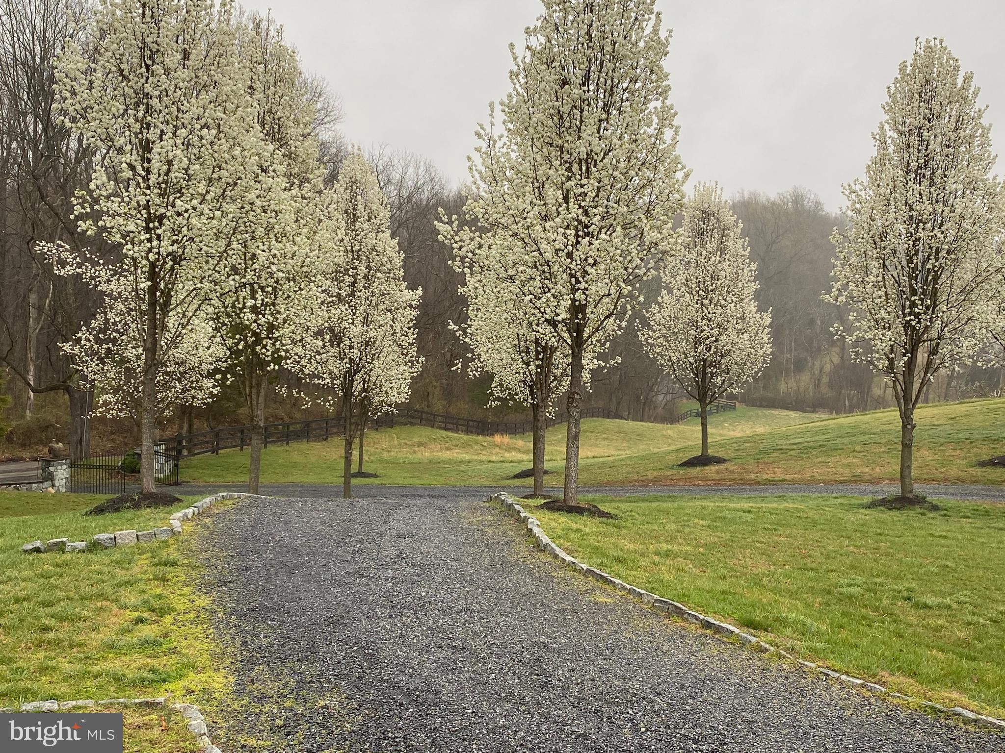 6389 Coon Tree Road The Plains, VA 20198 - Photo 59 of 65