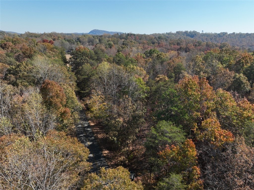 220 Old Fox Squirrel Ridge Road Pickens, SC 29671 - Photo 3 of 12
