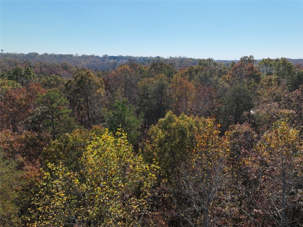 220 Old Fox Squirrel Ridge Road Pickens, SC 29671 - Photo 8 of 12