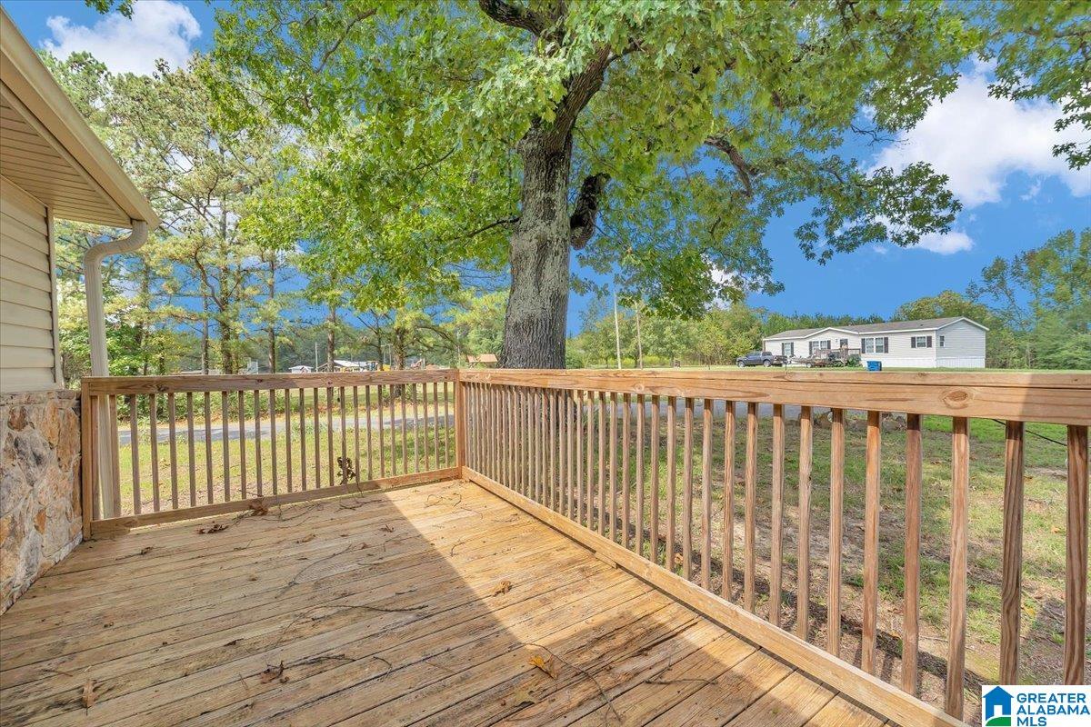 254 Timmerman Road Blountsville, AL 35031 - Photo 11 of 47