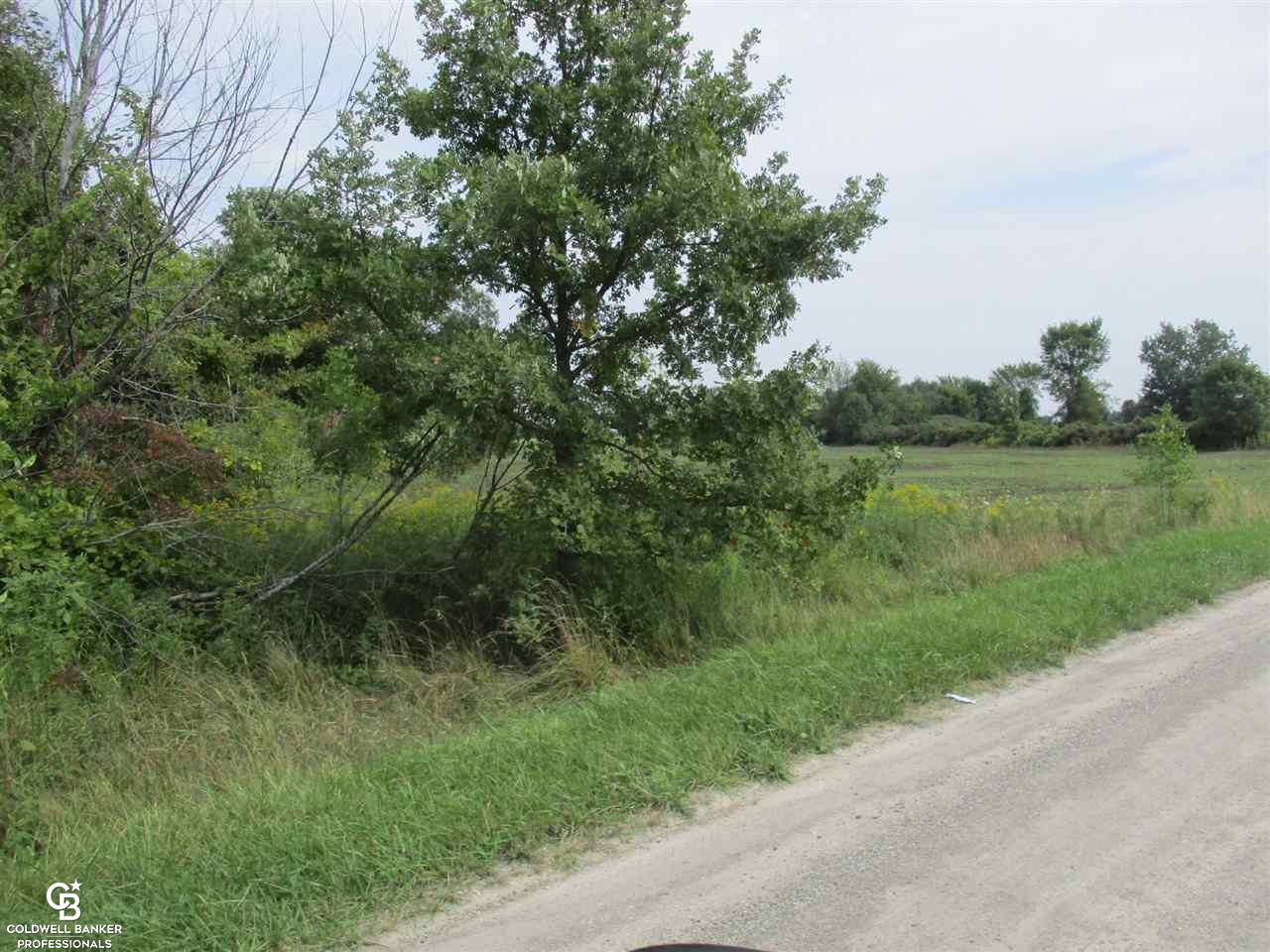 0 Angling Road, Unit 6 Richmond, MI 48062 - Photo 4 of 11