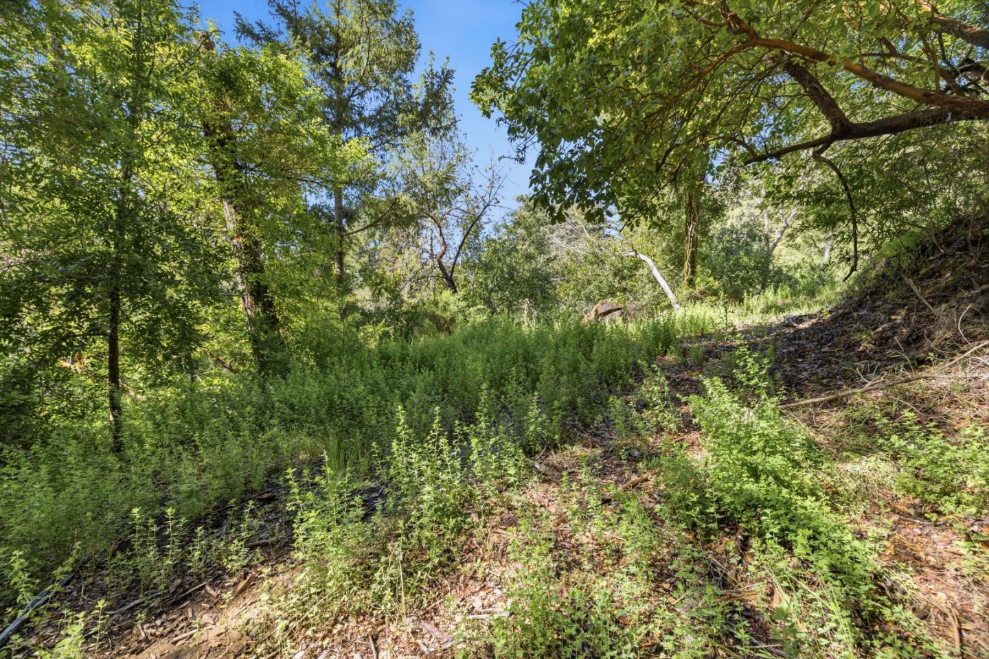 360 Rincon Way Boulder Creek, CA 95006 - Photo 31 of 46