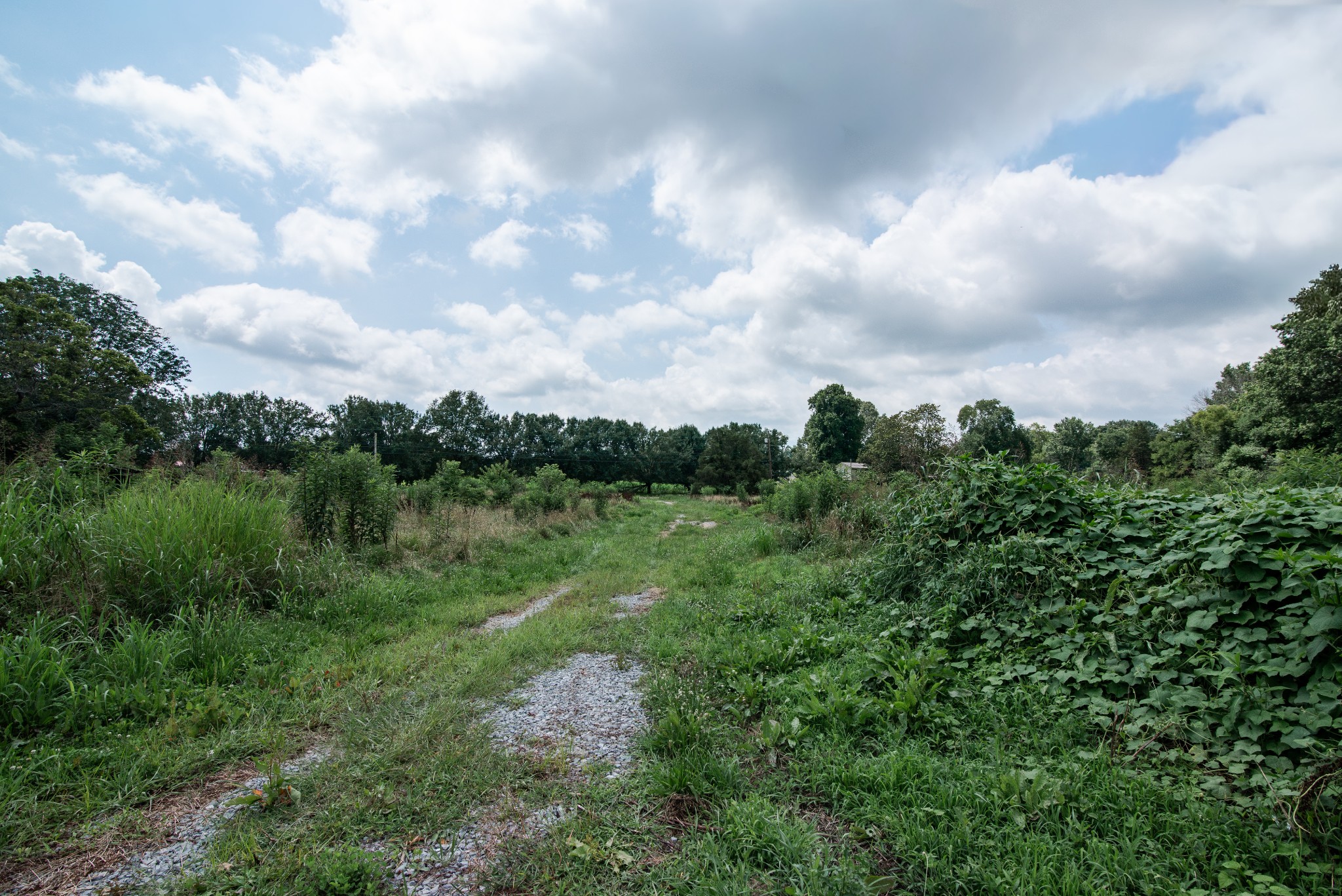 169 Pendergrass Road Flintville, TN 37335 - Photo 14 of 16