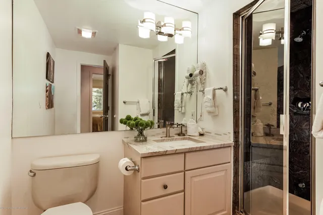 a bathroom with a toilet a sink and a mirror