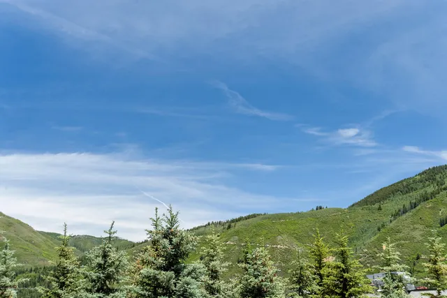 $35,000 | Aspen Central Core, Aspen, CO 81611