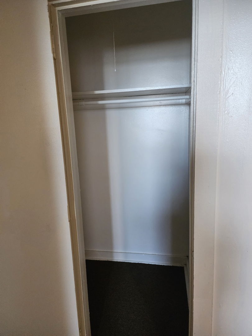 6527 South Kimbark Avenue, Unit 4F Chicago, IL 60637 - Photo 9 of 28 a close view of closet