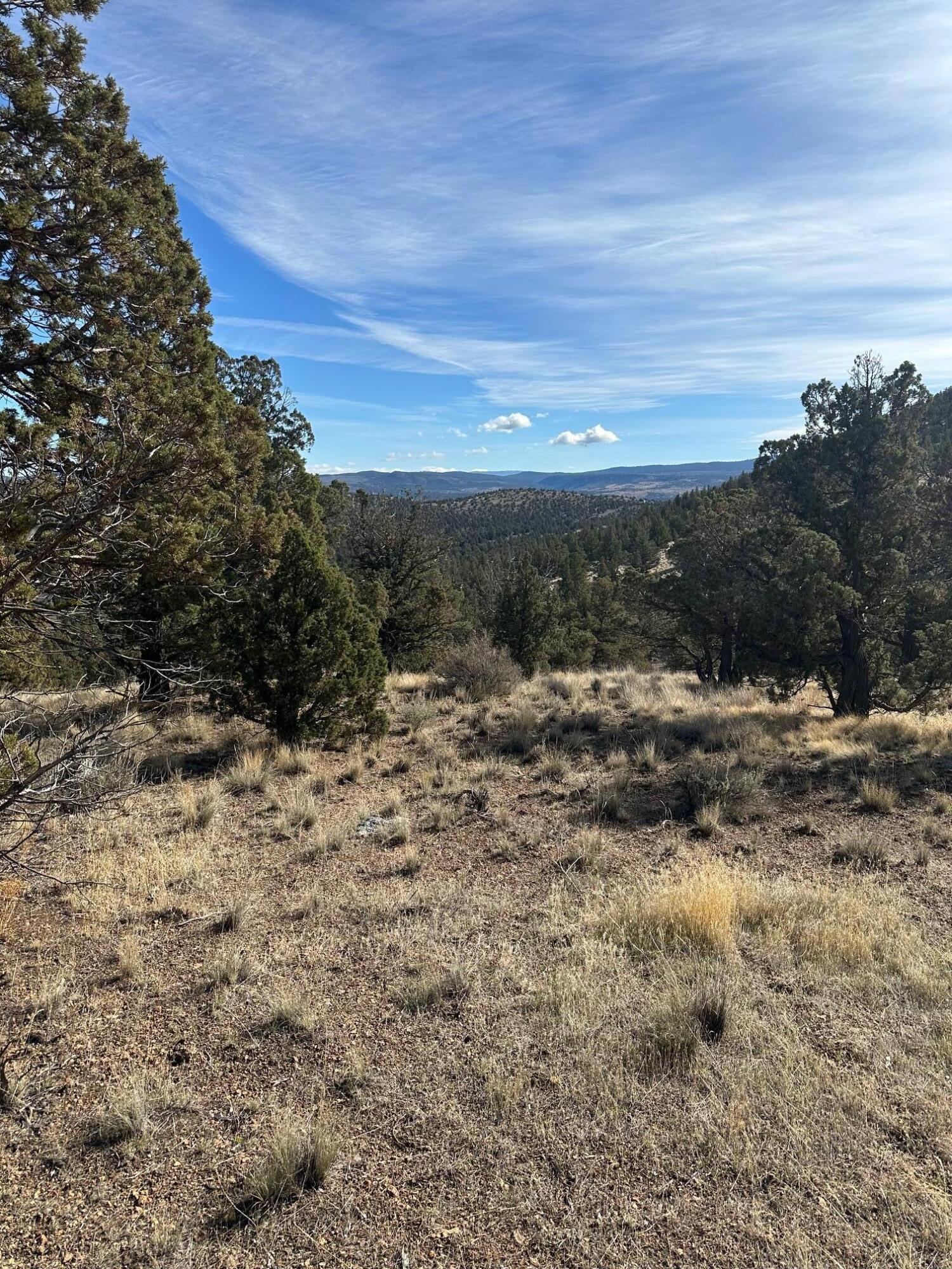 Southeast Renegade Loop Prineville, OR 97754 - Photo 5 of 8