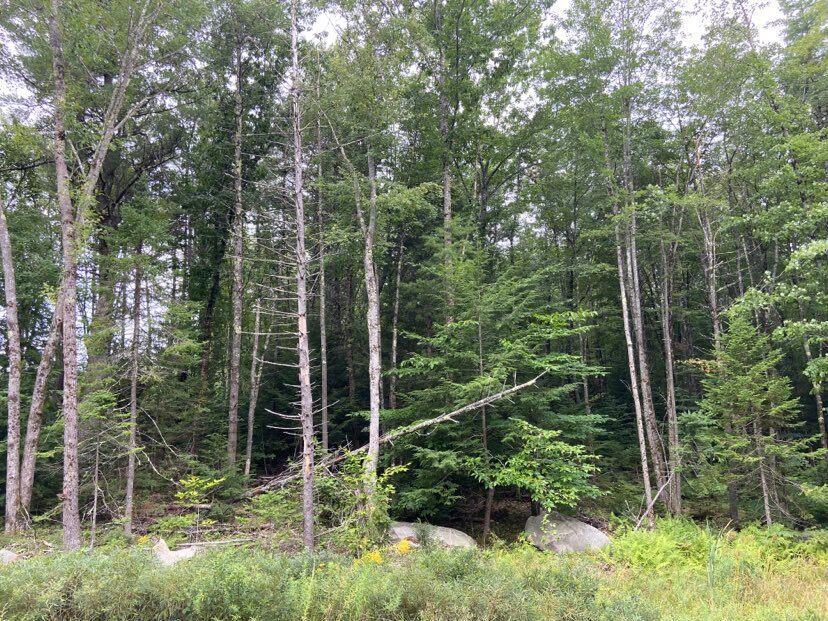 0 Baker Rd Wells Wells, ME 04090 - Photo 2 of 9 Pic 1