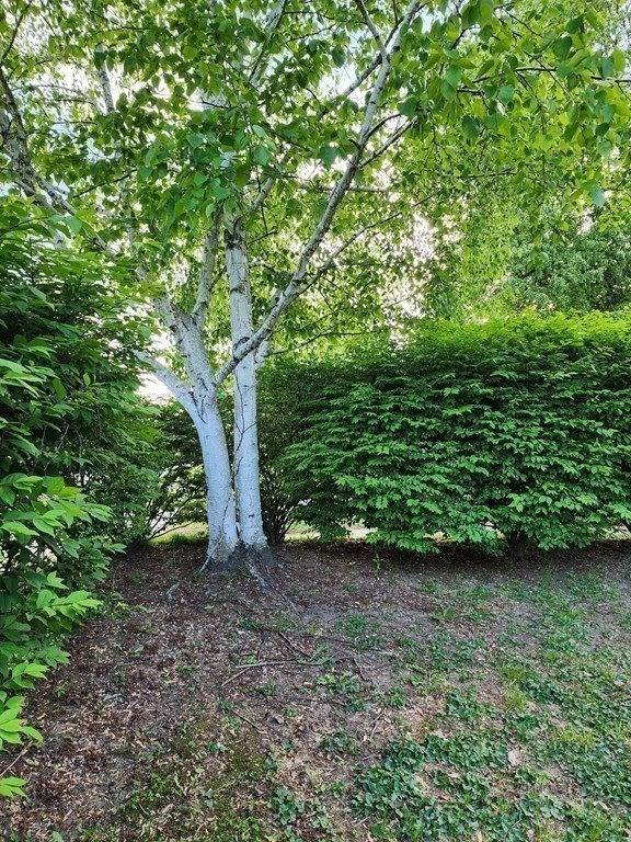 65 Granby Road South Hadley, MA 01075 - Photo 35 of 39 Gallery Image 35