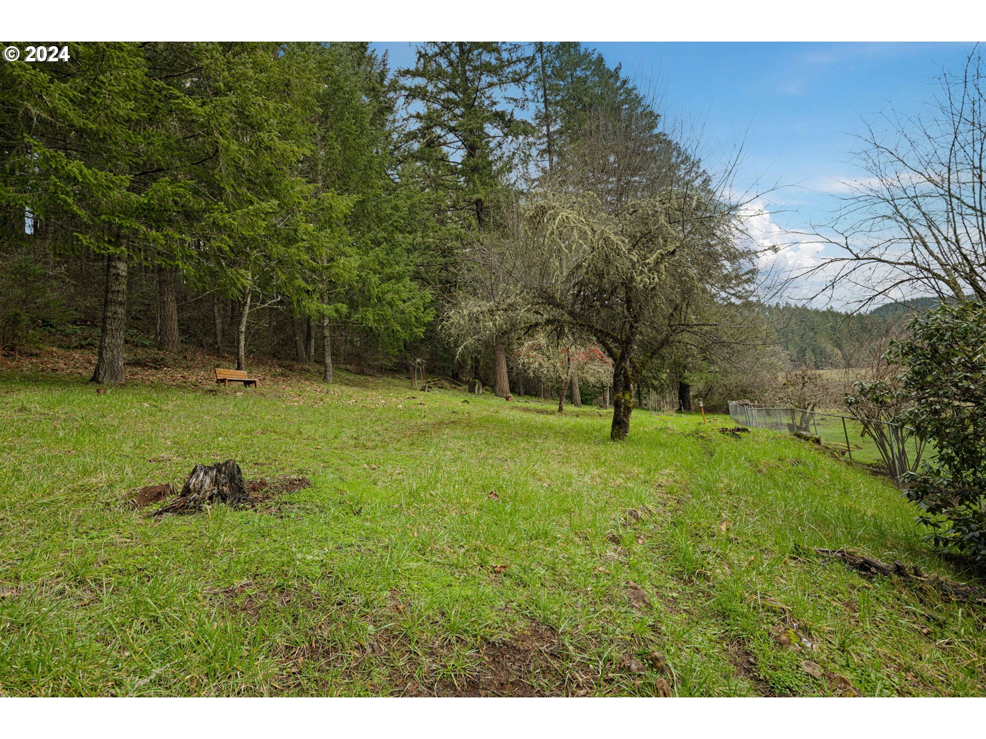 38499 Cartwright Creek Road Marcola, OR 97454 - Photo 34 of 43 Gallery Image 34
