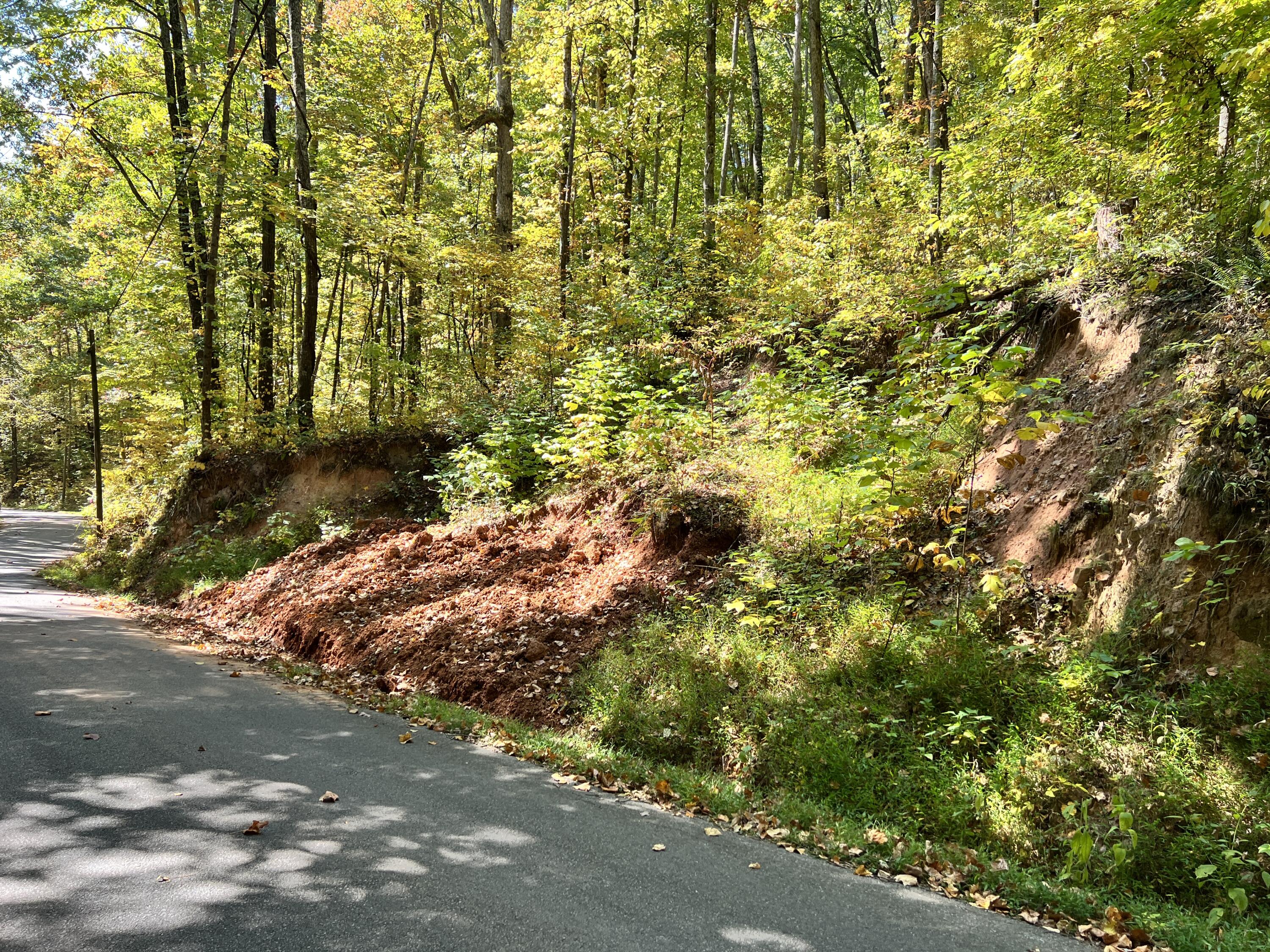1870 Dyer Hollow Road, Unit A Mohawk, TN 37810 - Photo 2 of 11 IMG_4758