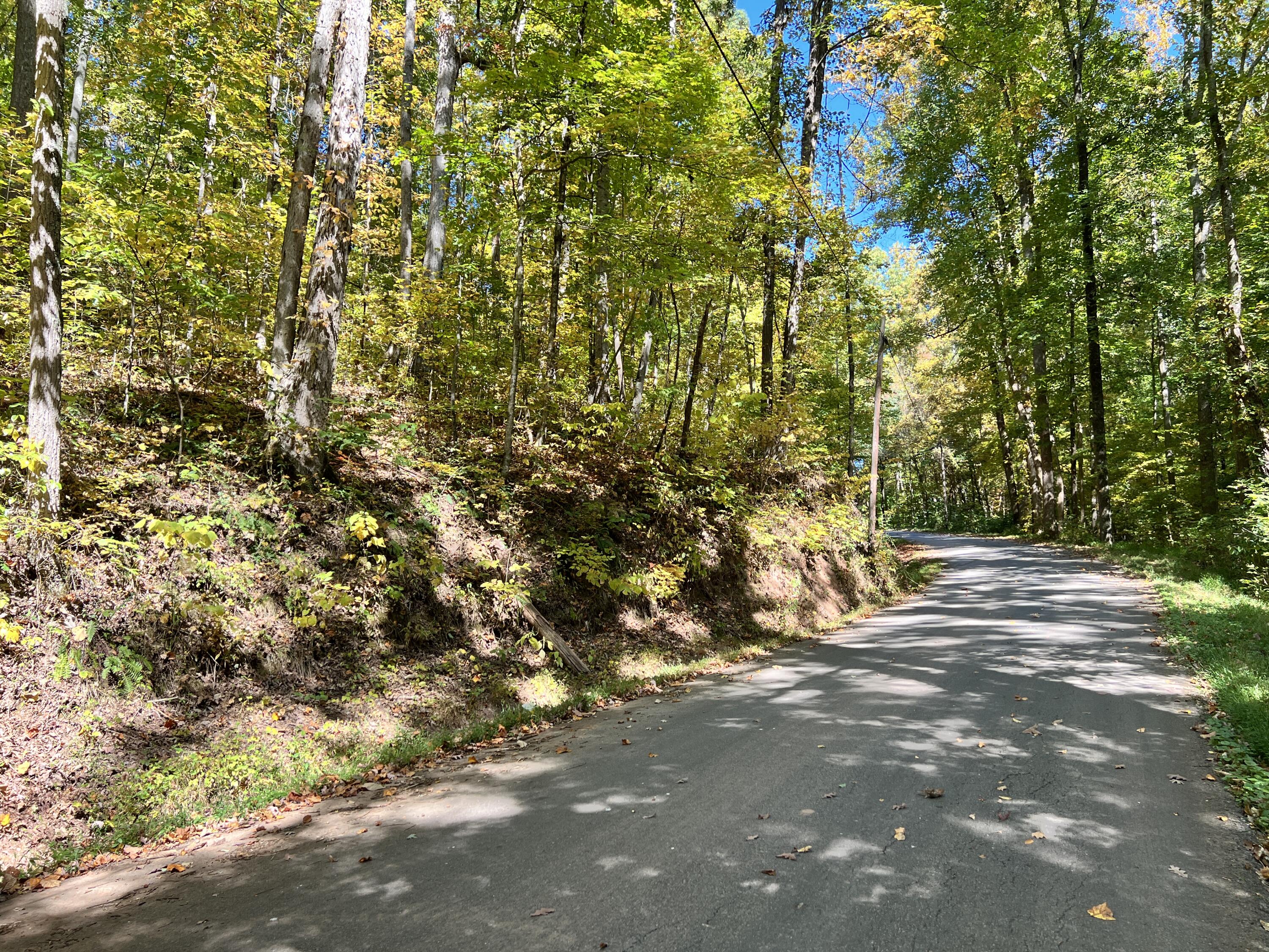 1870 Dyer Hollow Road, Unit A Mohawk, TN 37810 - Photo 6 of 11 IMG_4760