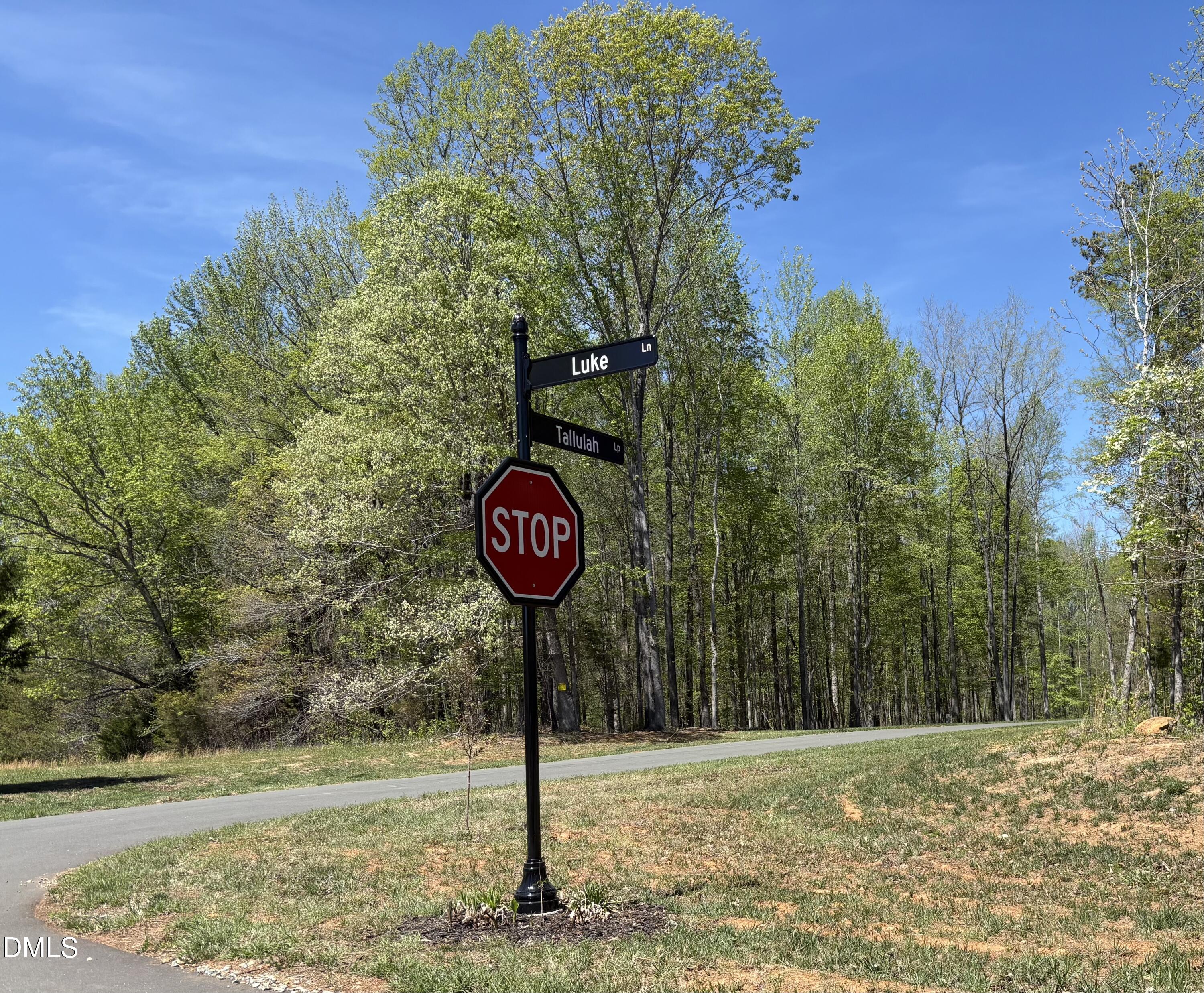 4 Tallulah Loop Cedar Grove, NC 27231 - Photo 5 of 13 IMG_9341