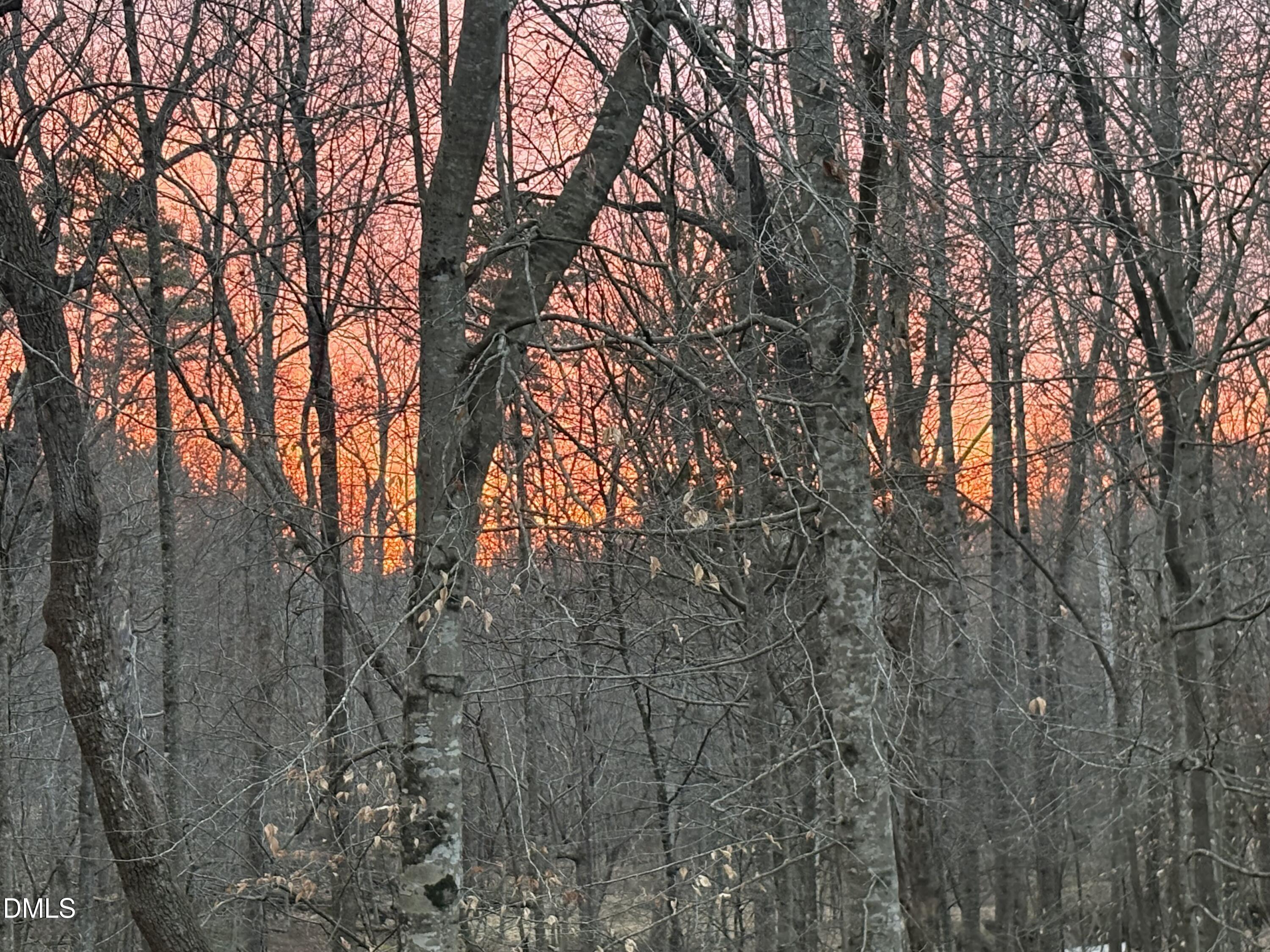 4 Tallulah Loop Cedar Grove, NC 27231 - Photo 6 of 13 IMG_9063