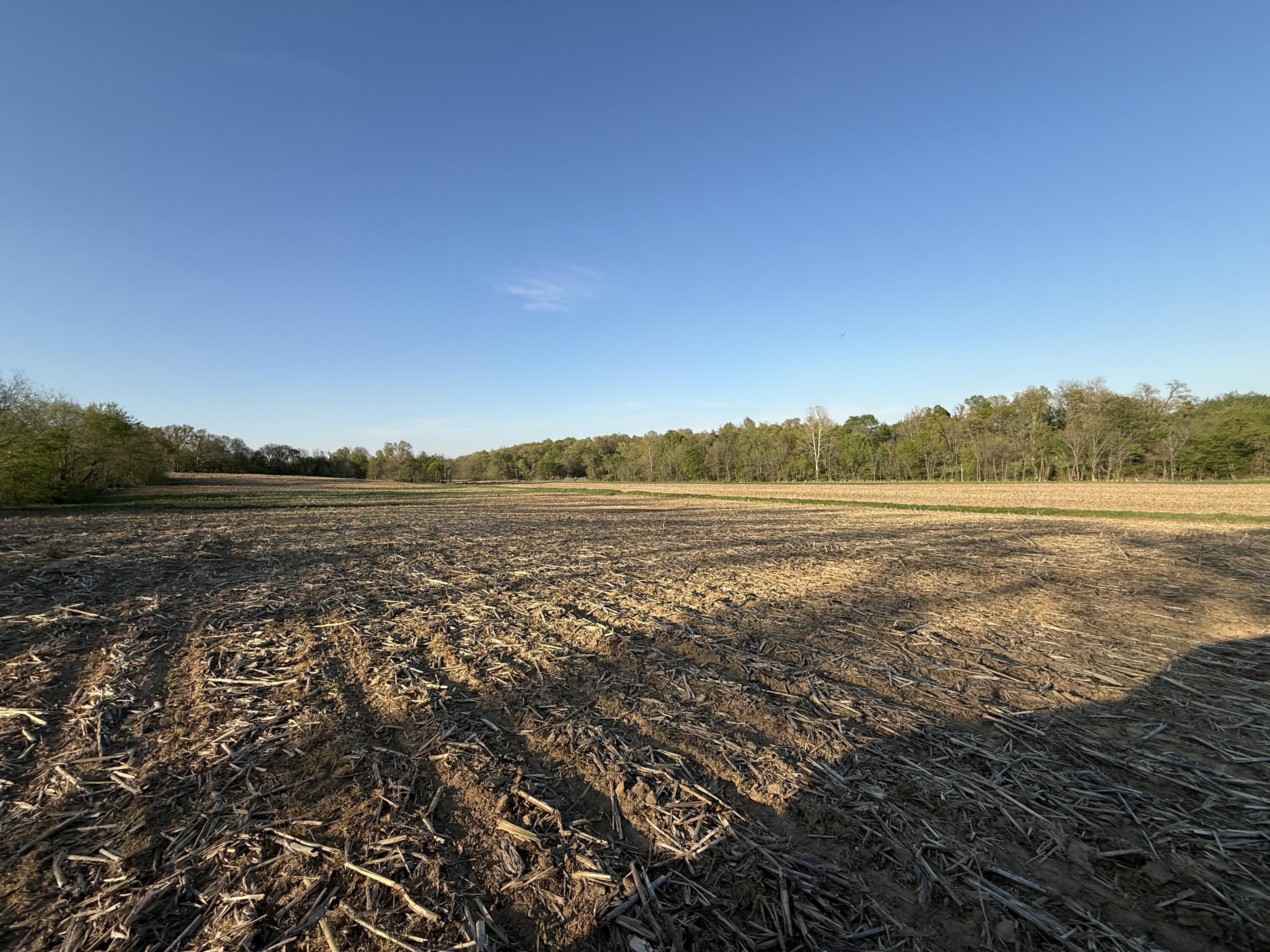 0 Carter Road Mayfield, KY 42066 - Photo 1 of 2 IMG_6130