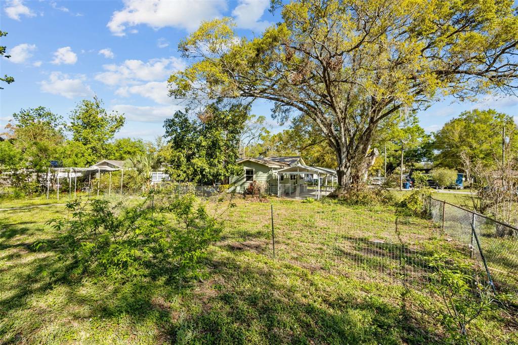 1908 West Fern Street Tampa, FL 33604 - Photo 31 of 47 a view of yard with large trees