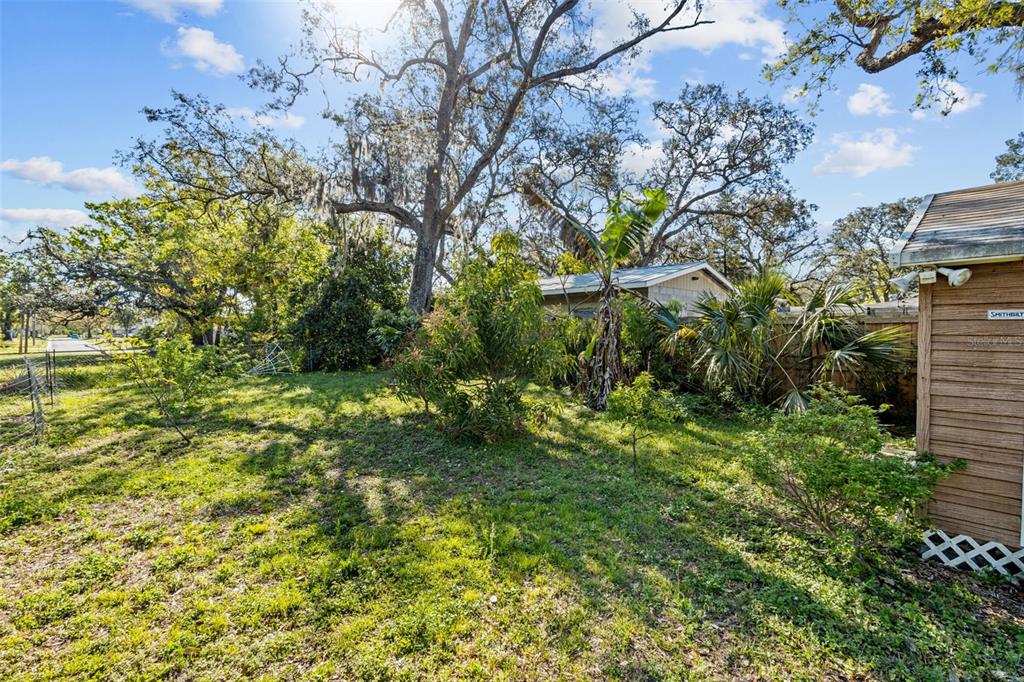 1908 West Fern Street Tampa, FL 33604 - Photo 33 of 47 a view of a garden
