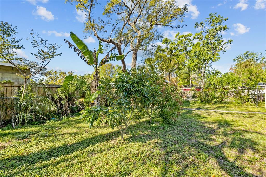 1908 West Fern Street Tampa, FL 33604 - Photo 34 of 47 a view of a yard with a tree