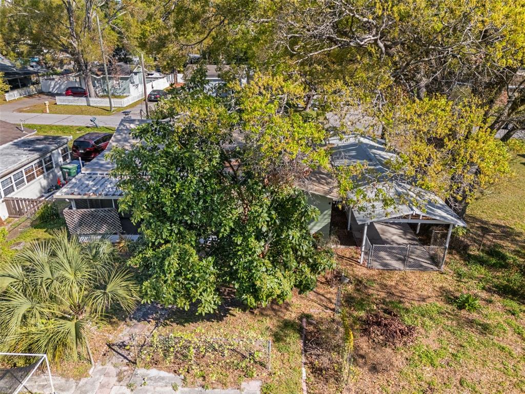 1908 West Fern Street Tampa, FL 33604 - Photo 45 of 47 a backyard of a house with table and chairs